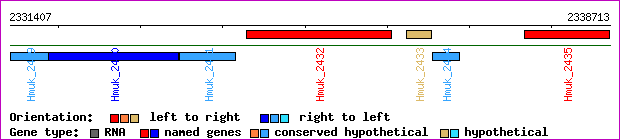 gene map