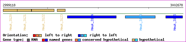 gene map