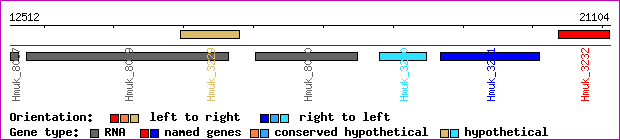 gene map