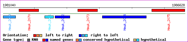 gene map