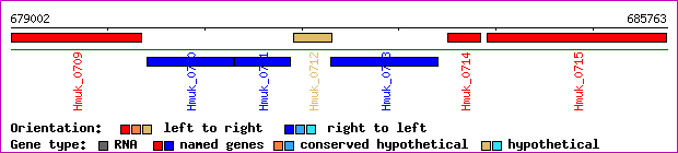 gene map