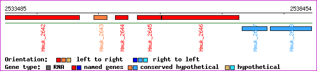 gene map