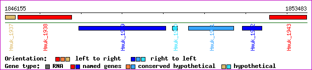 gene map