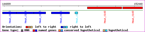 gene map