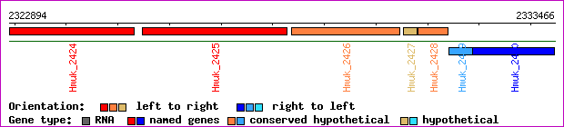 gene map