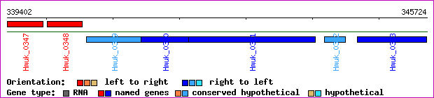 gene map
