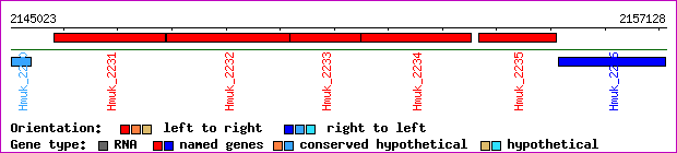 gene map
