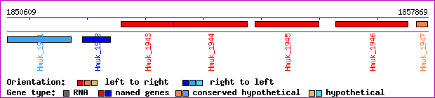 gene map