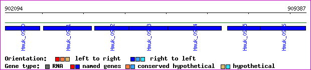 gene map