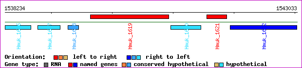 gene map
