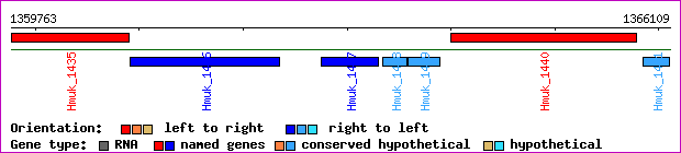 gene map