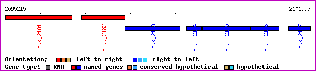 gene map