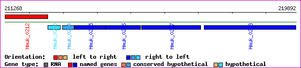 gene map