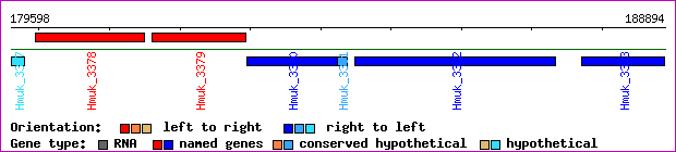 gene map