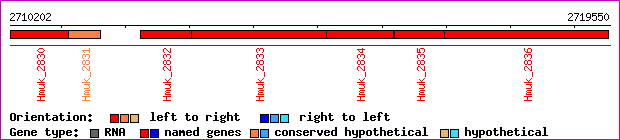 gene map