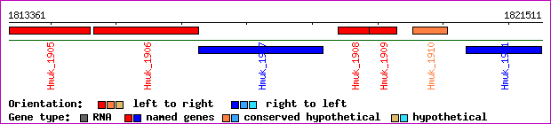 gene map