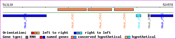 gene map