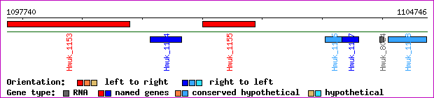 gene map