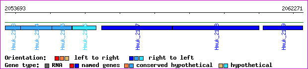 gene map