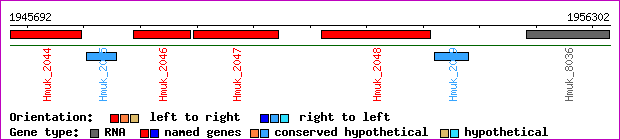 gene map