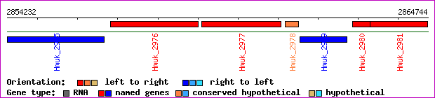 gene map