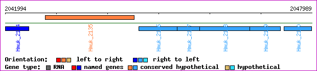 gene map