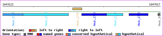gene map