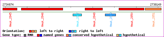gene map