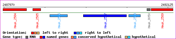 gene map