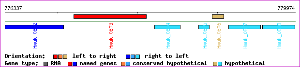 gene map