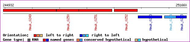 gene map