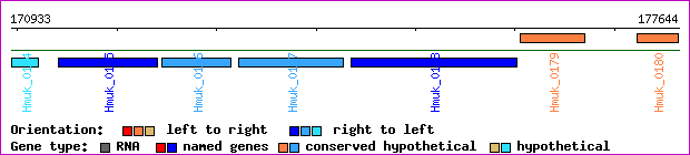 gene map