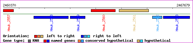 gene map