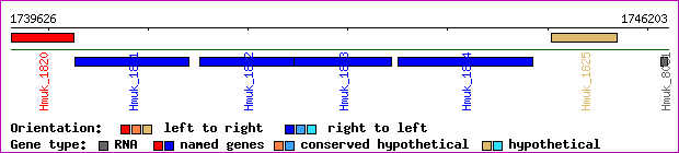 gene map