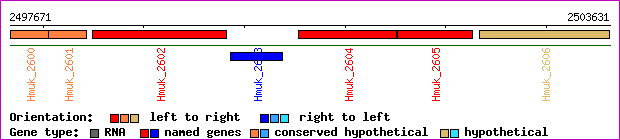 gene map