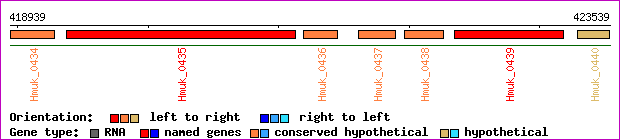 gene map
