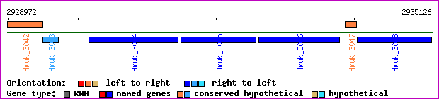 gene map
