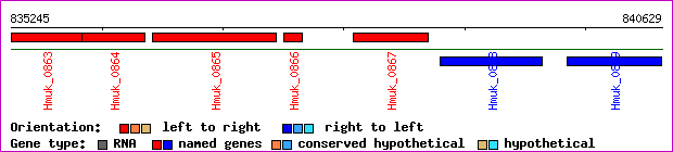 gene map