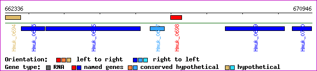 gene map