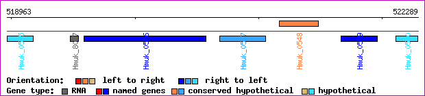 gene map