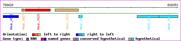 gene map