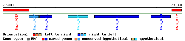 gene map