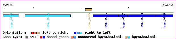 gene map