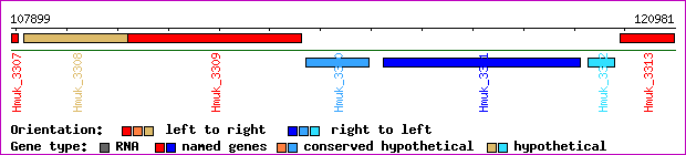 gene map