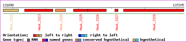 gene map