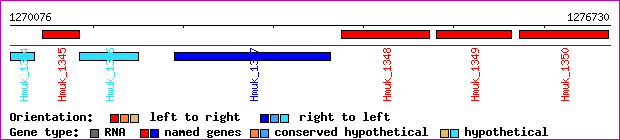 gene map