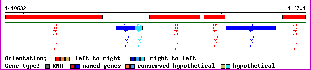 gene map