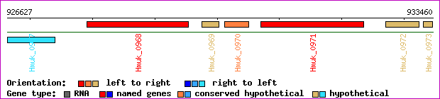 gene map