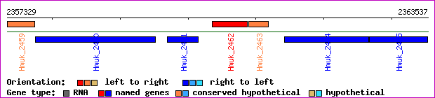 gene map
