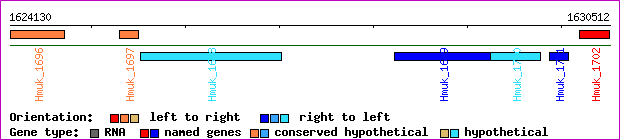 gene map
